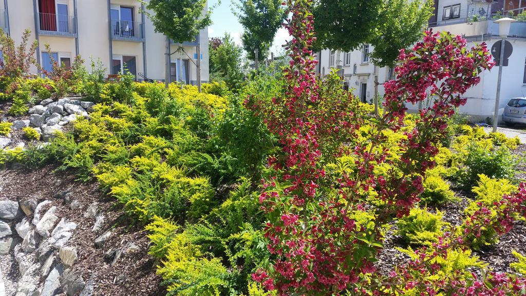 Green Living Inn Kempten Exterior foto